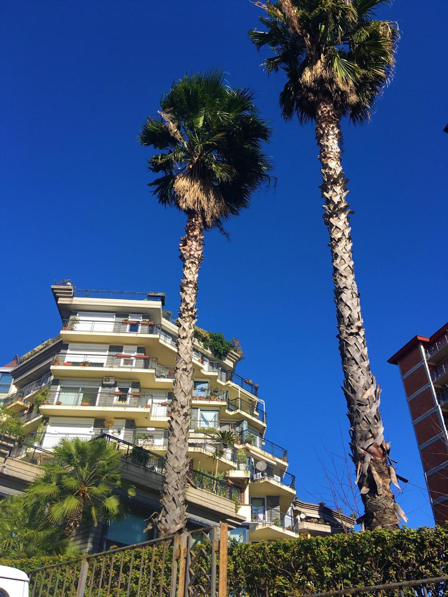 Hotel Seafront In The City Catania Exterior foto